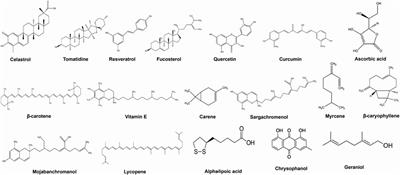 Herbal medicine for the treatment of obesity-associated asthma: a comprehensive review